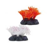 Análisis de papilla mejillon corales para comprar barato